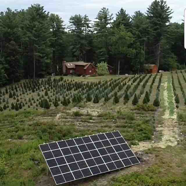 Solar Success Stories: Top Commercial Solar Providers in Massachusetts