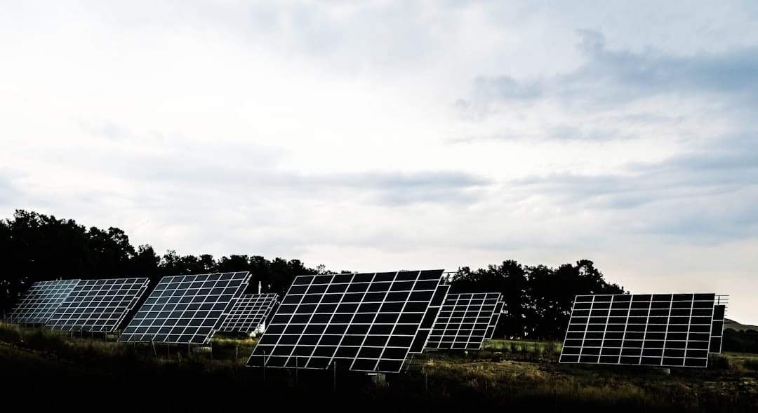 Rows of solar panels installed on grassy land under a cloudy sky, with trees in the background.
