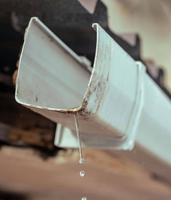 Gutter Repair Services