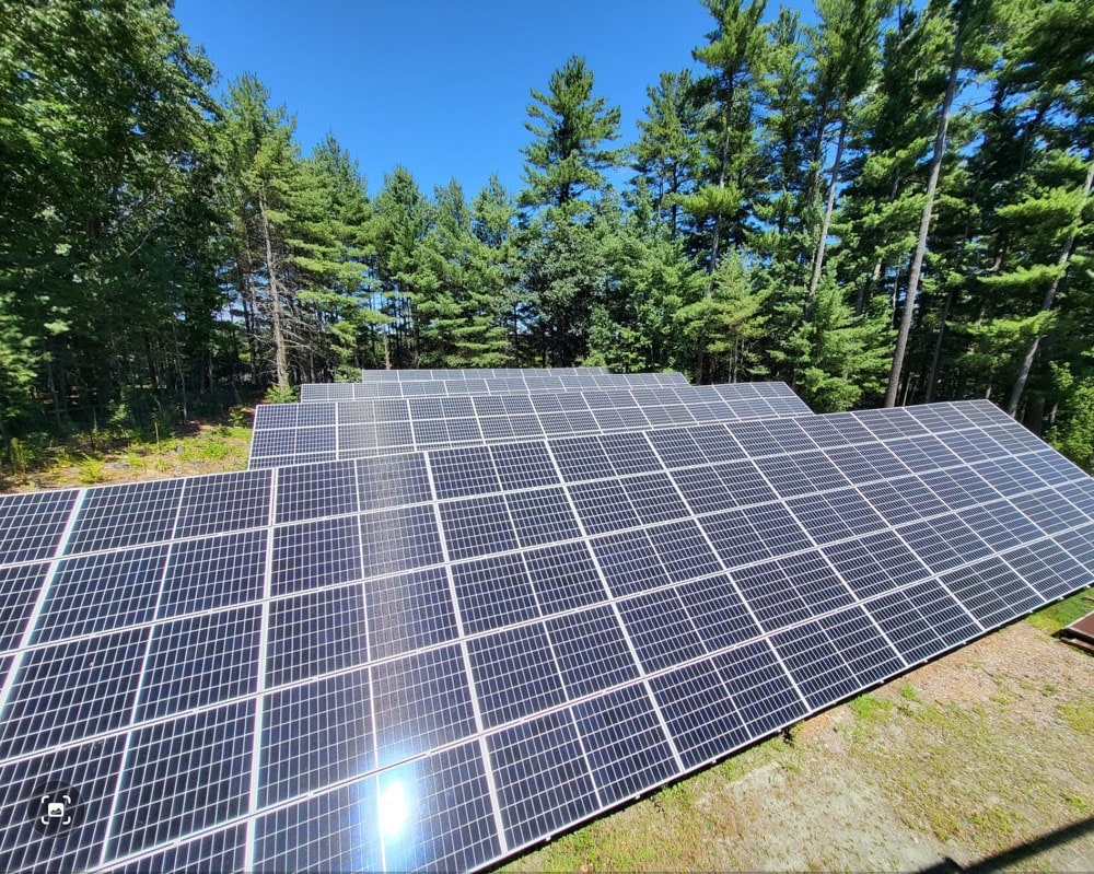 Rows of commercial solar panels are installed on the ground in a clearing, surrounded by tall green trees under a bright blue sky.