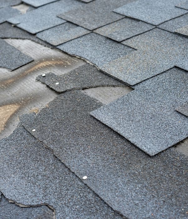 Roof Inspection