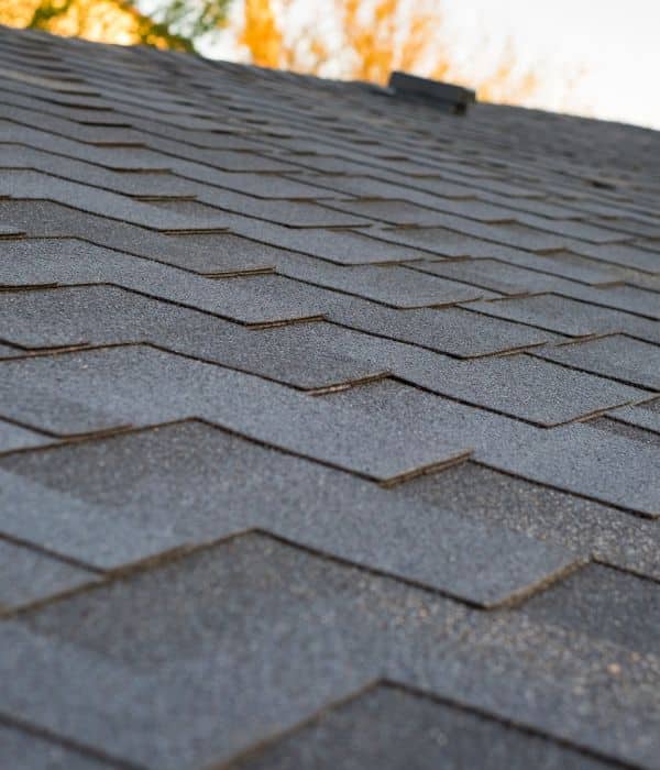 Roof Replacement