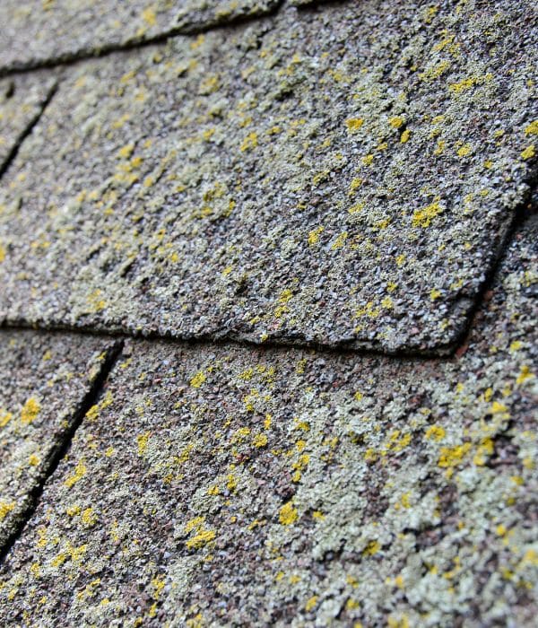Roof Replacement
