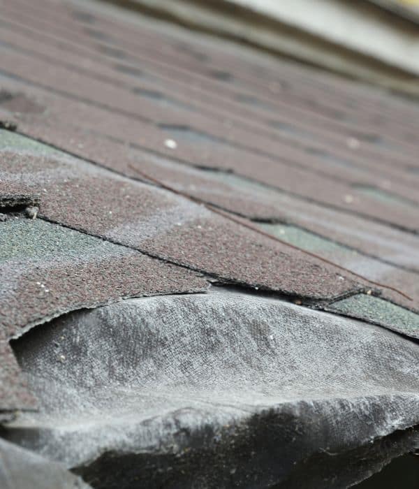 Close-up of damaged asphalt roof shingles curling and lifting, indicating wear and potential repairs—check if your roofing warranties cover this damage.