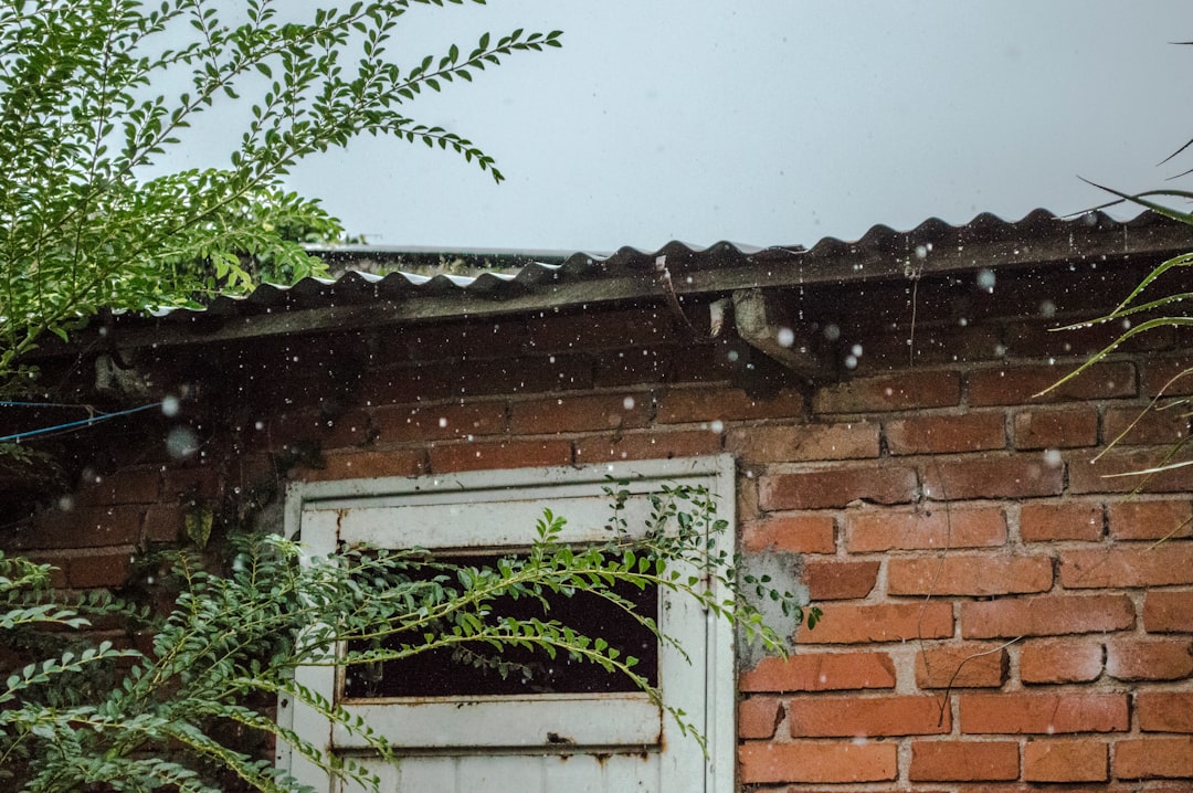 putting gutters on a house